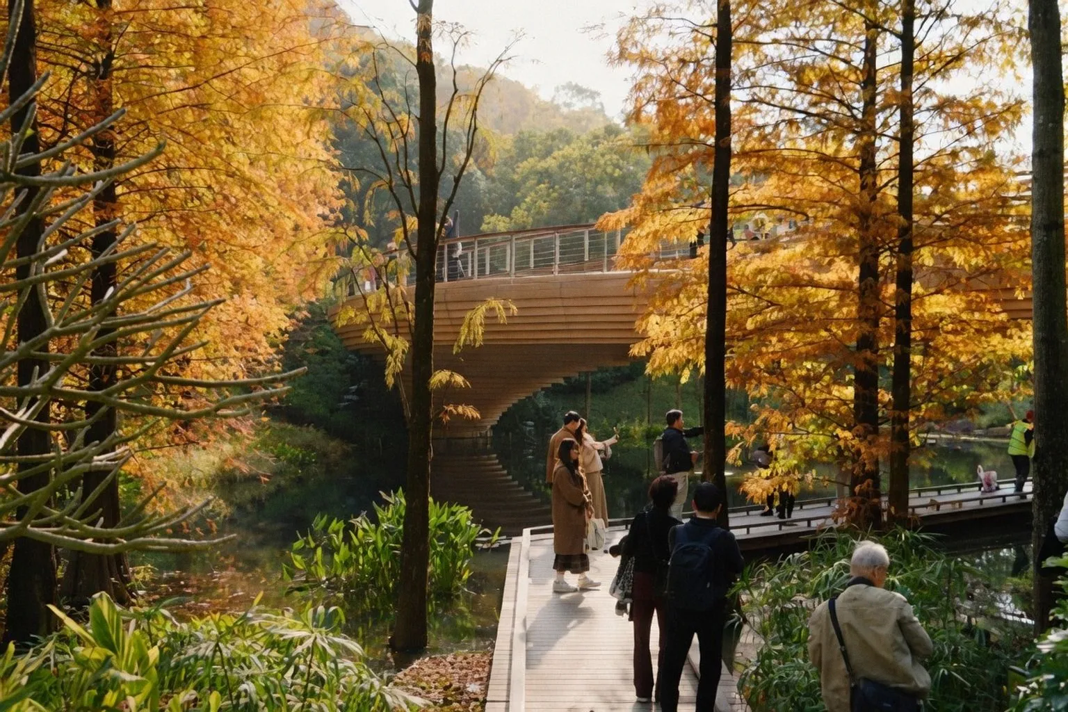 Landschaft als Choreografie: Architektur moderner botanischer Gärten