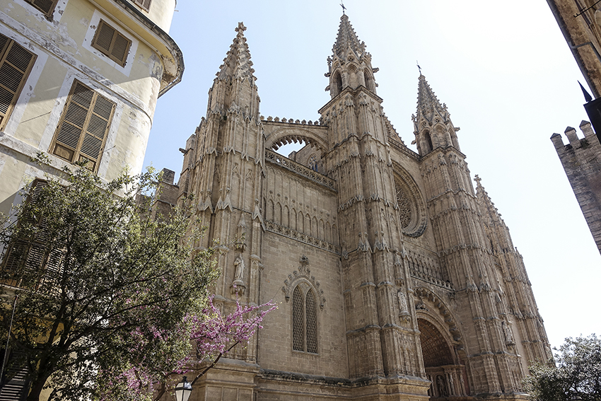 PALMA de Mallorca ein Kulturausflug Kathedrale