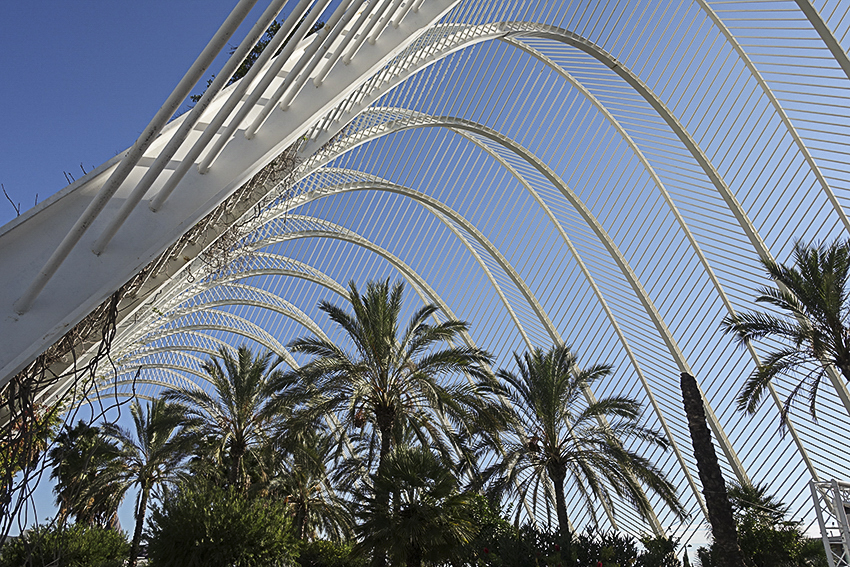 Palmenarcade Valencia, Stadt der Künste und der Wissenschaften